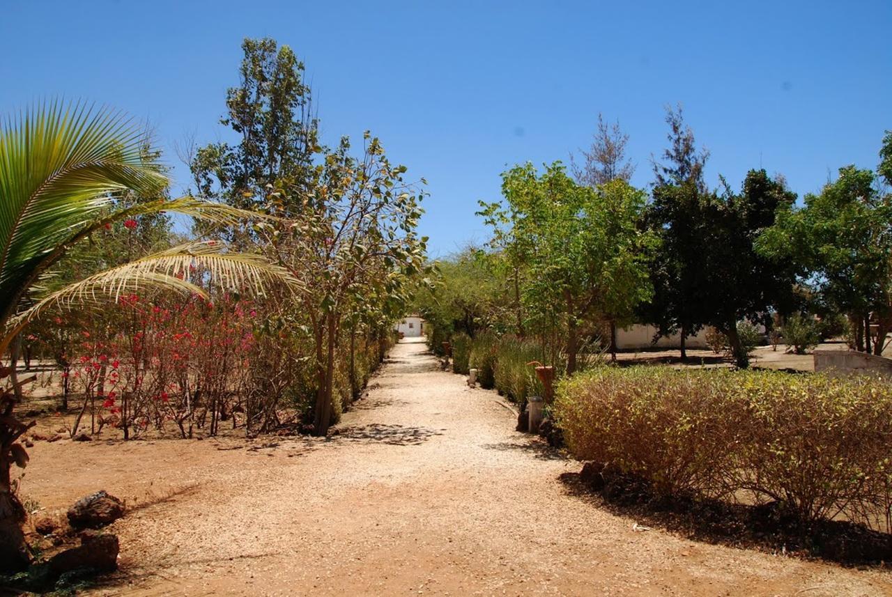 Terre D'Afrique Otel Popenguine Dış mekan fotoğraf