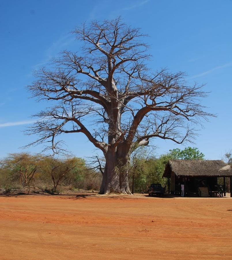 Terre D'Afrique Otel Popenguine Dış mekan fotoğraf